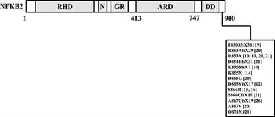 Endocrine Disorders Are Prominent Clinical Features in Patients With Primary Antibody Deficiencies